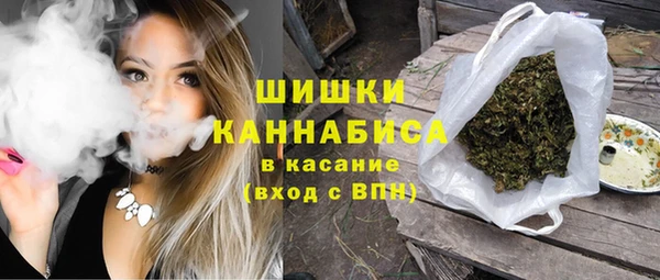 СК Бикин