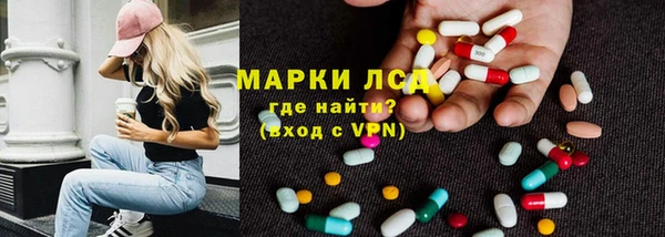 СК Бикин