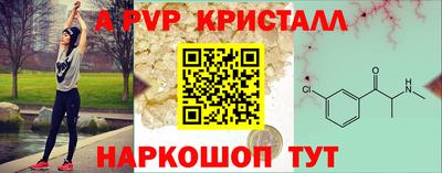 spice Гатчина