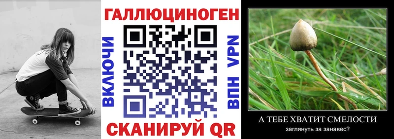 цена наркотик  hydra ТОР  Псилоцибиновые грибы Magic Shrooms  Елизово 