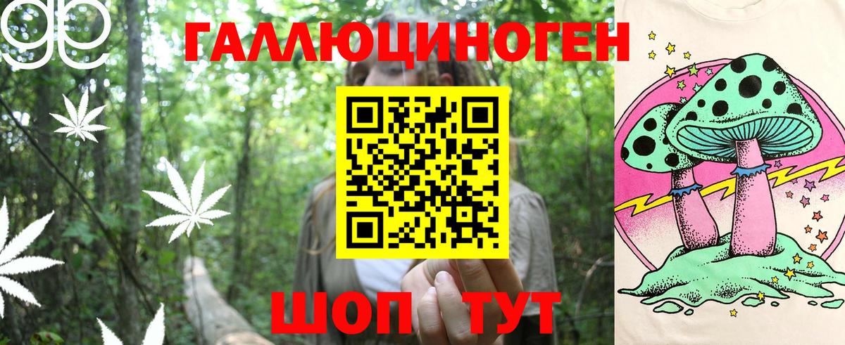 Галлюциногенные грибы мухоморы Елизово