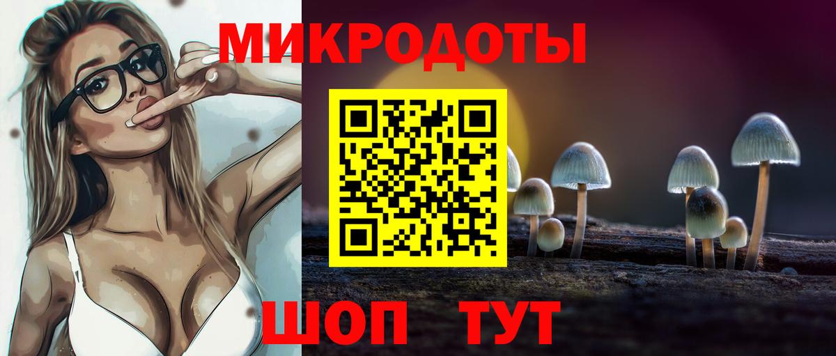 Елизово  Псилоцибиновые грибы MAGIC MUSHROOMS  где купить наркоту  Вход с VPN  Галлюциногенные грибы ЛСД 