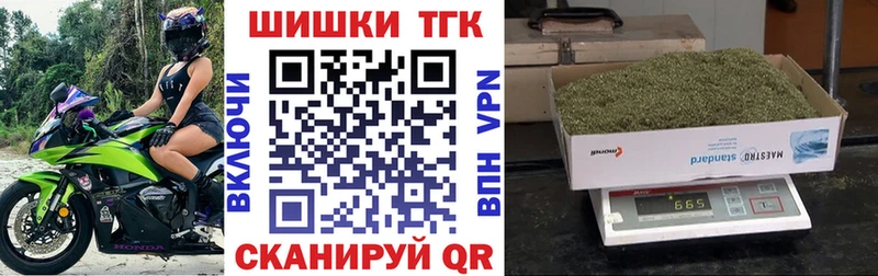 Бошки марихуана семена  закладка  кракен tor  darknet телеграм  Елизово 